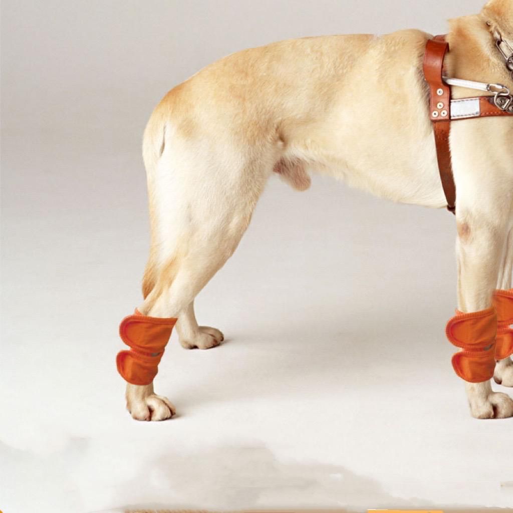 Venda protectora de soporte para mascotas