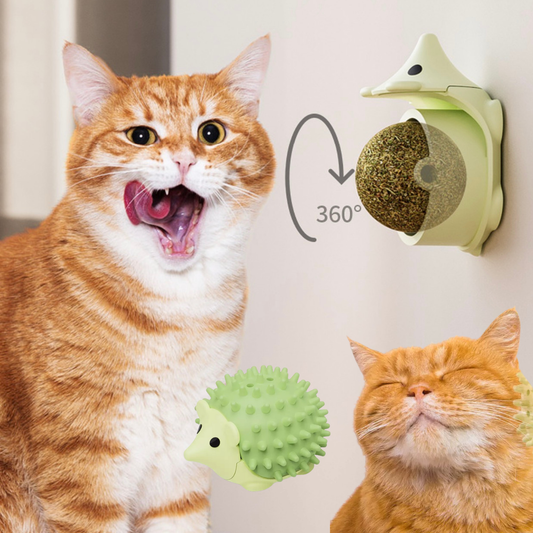 🌿 Catnip para gatos: qué es, cómo funciona y cuándo usarlo