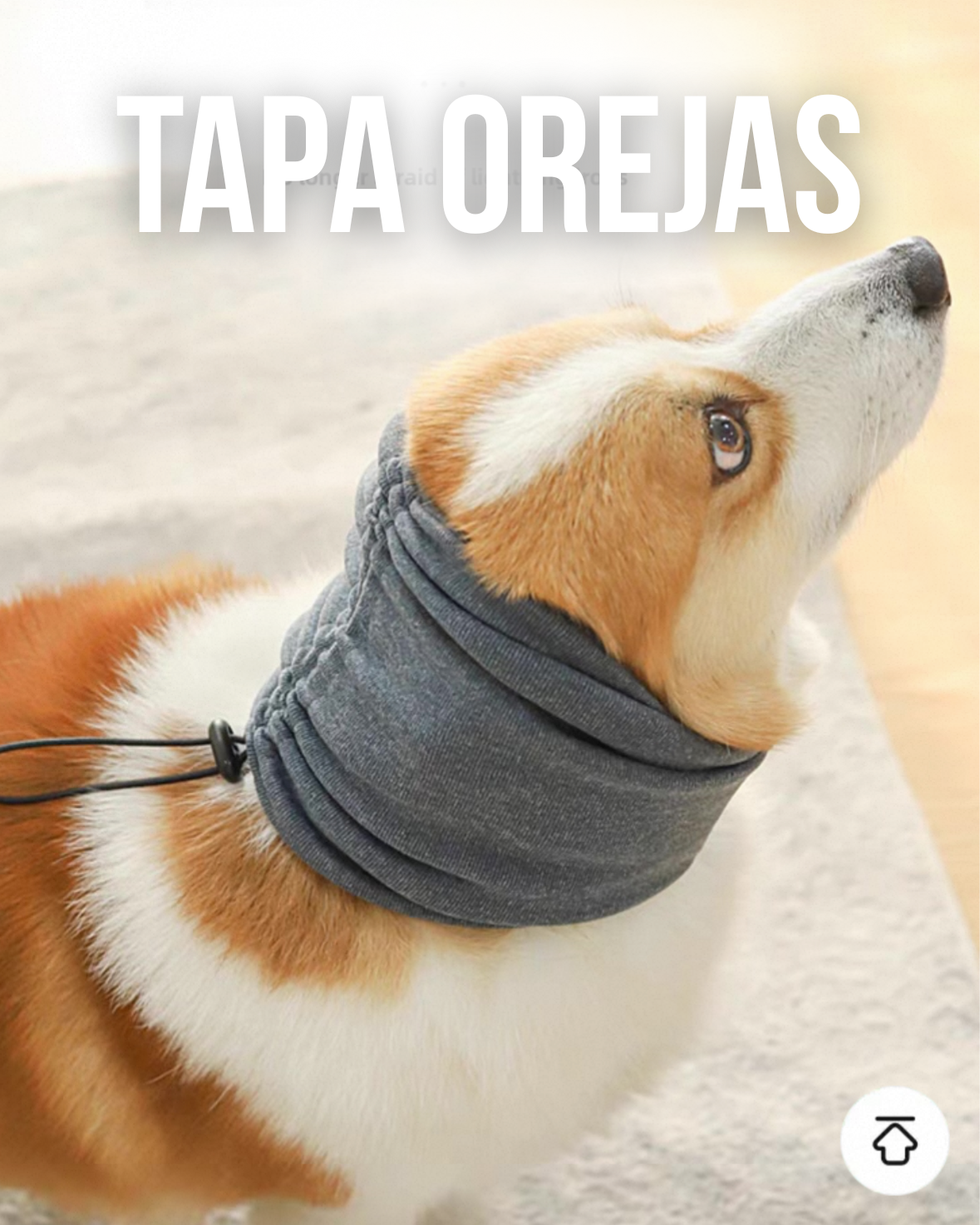 Tapa orejas terapeutico