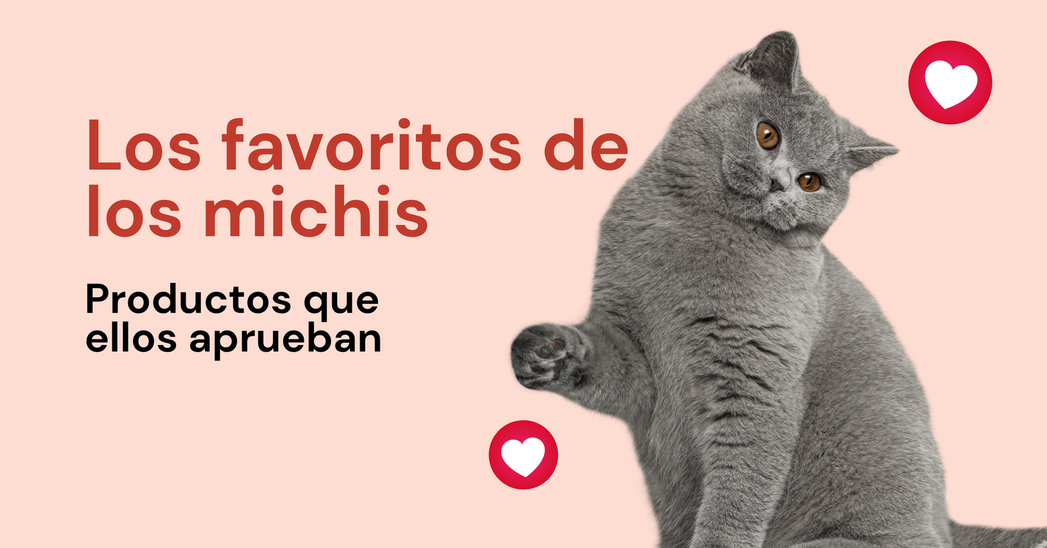 Los favoritos de los michis