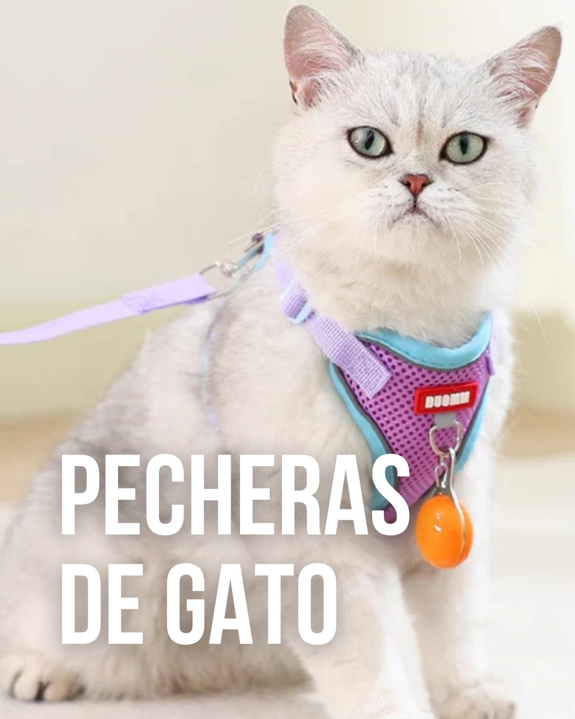 Pecheras para gatos