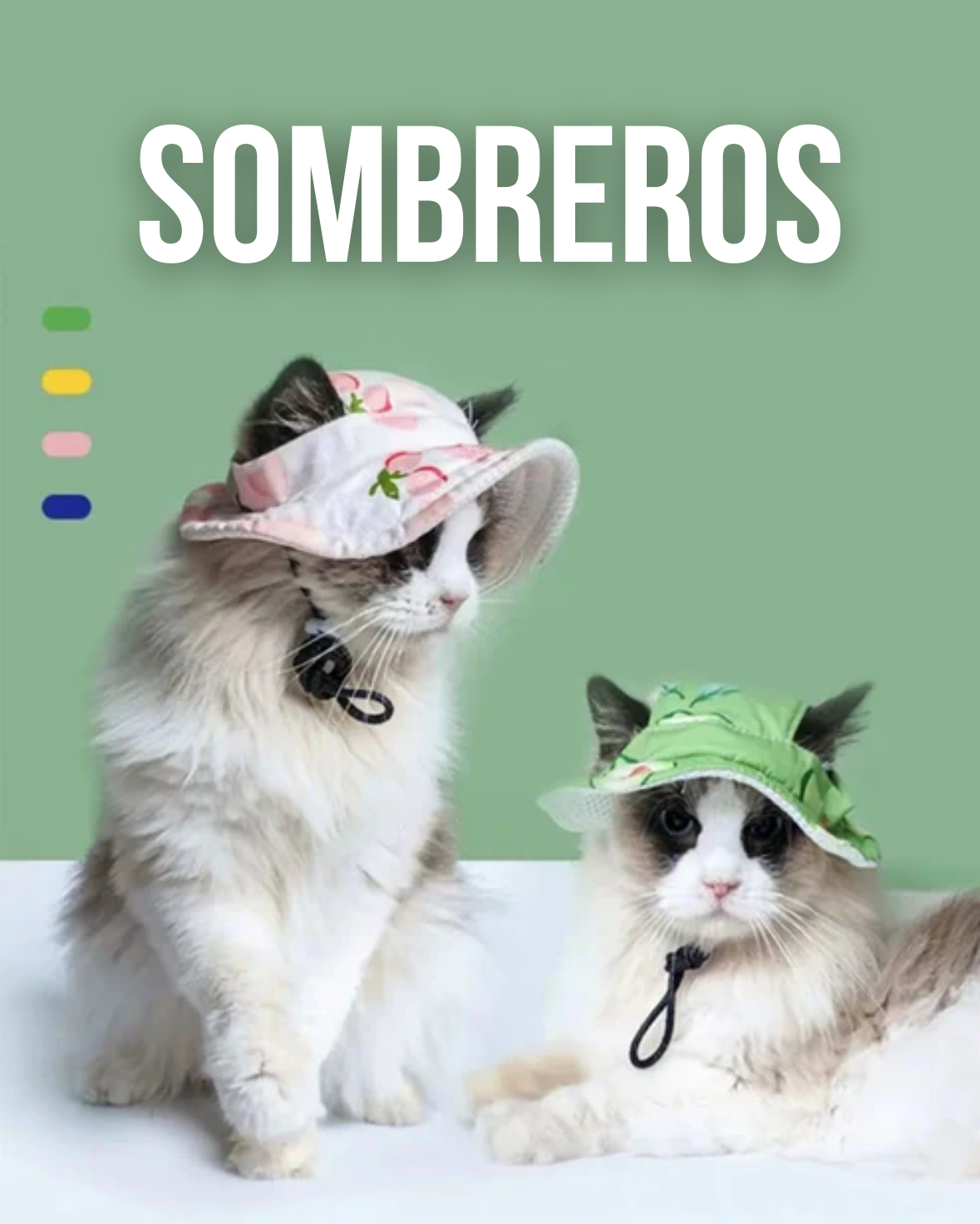 Sombreros y gorras