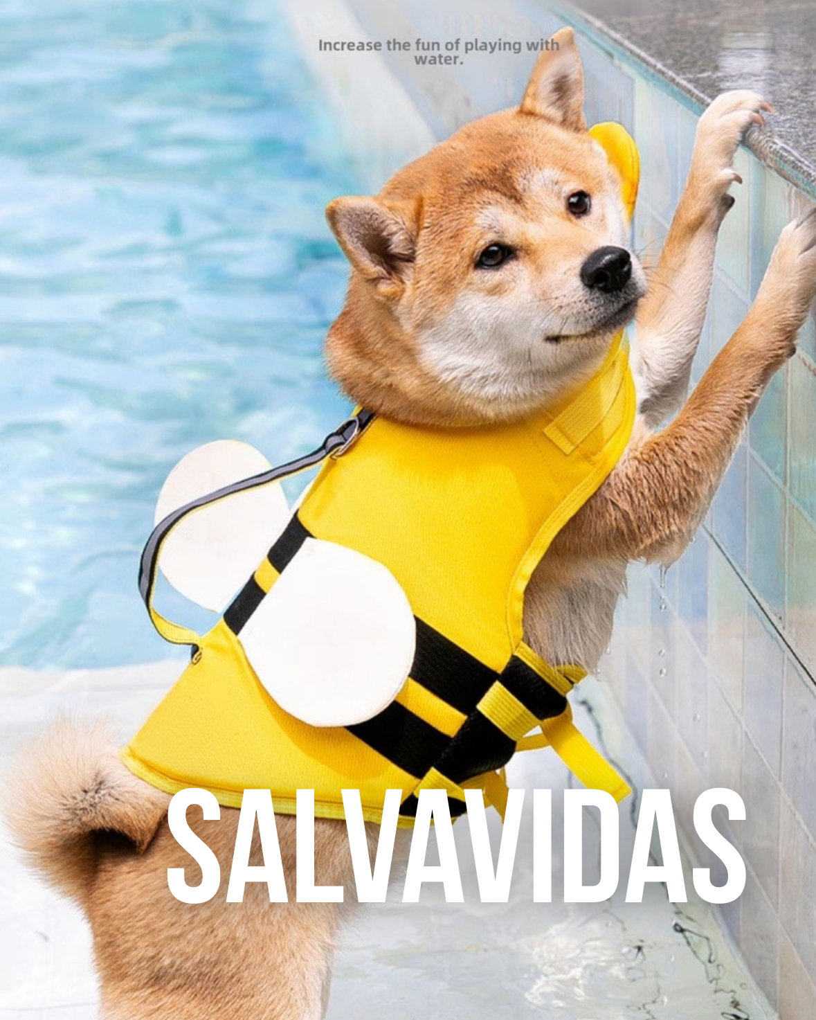 Salvavidas de perros