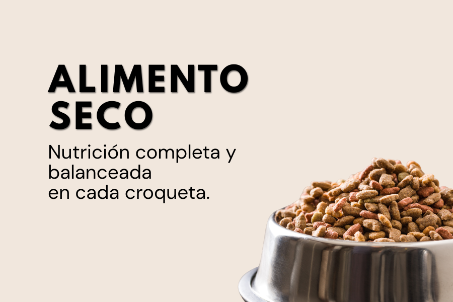 Alimento seco para perro