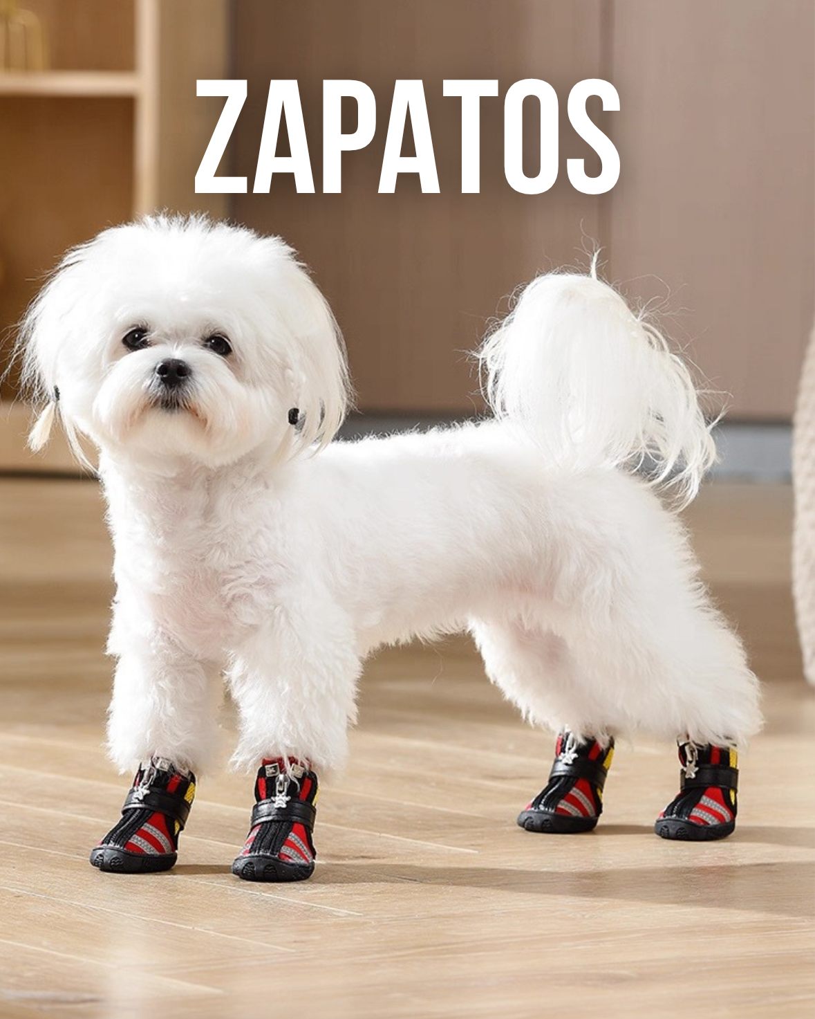 Zapatos