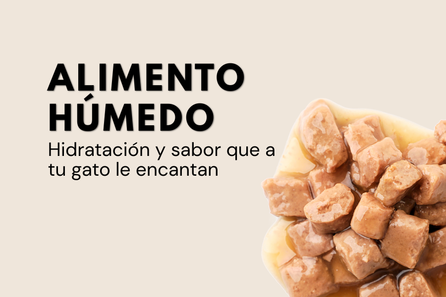 Alimento Húmedo de Perro