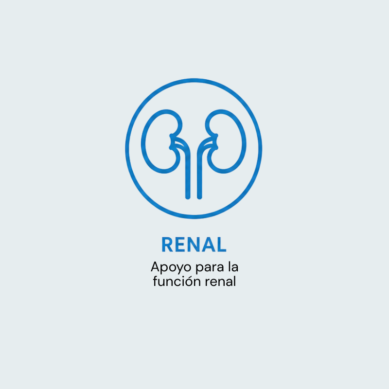 Renal para perros