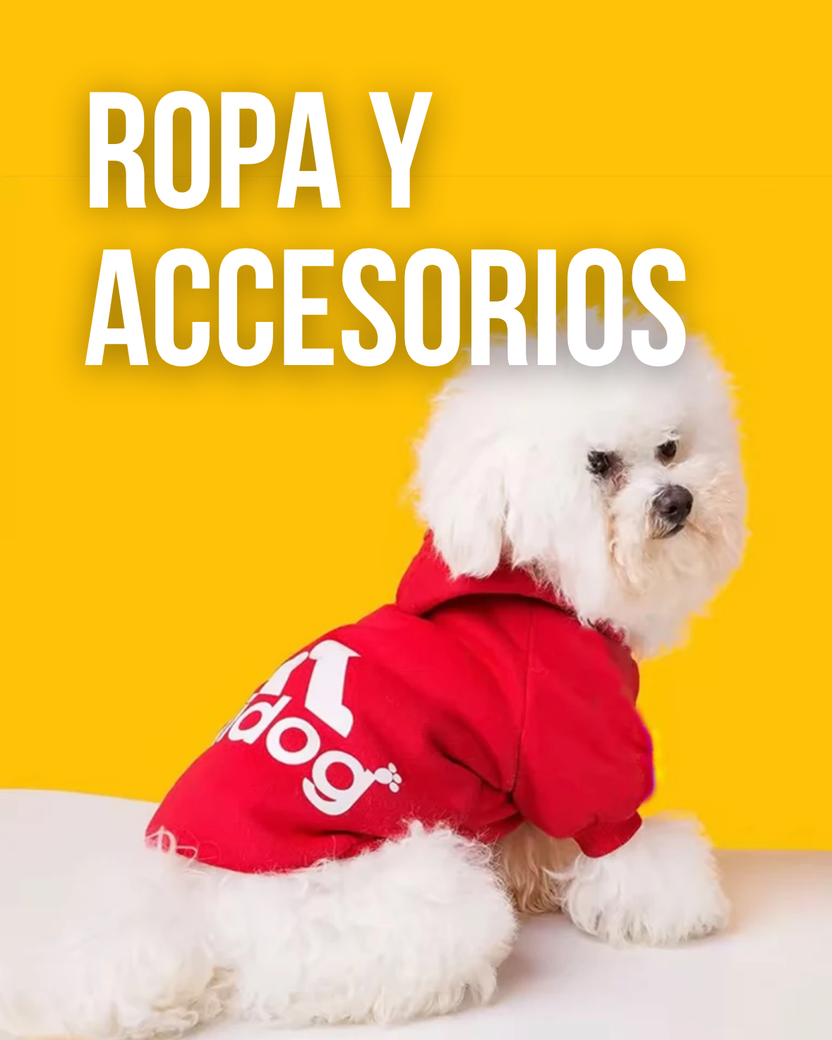 Ropa y accesorios