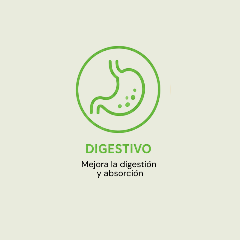Digestivo para perros