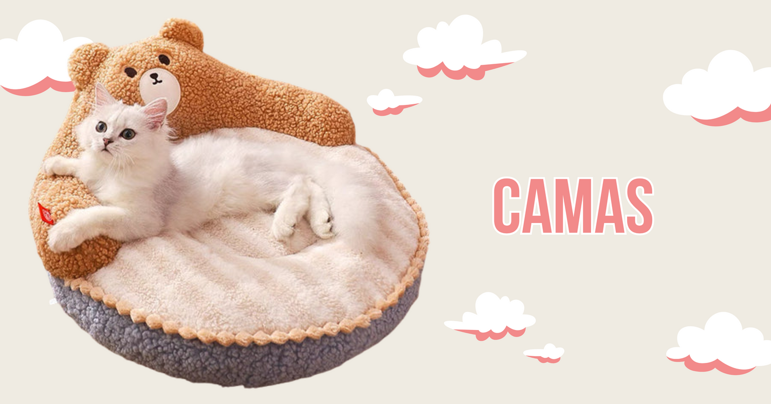 Camas de Gato