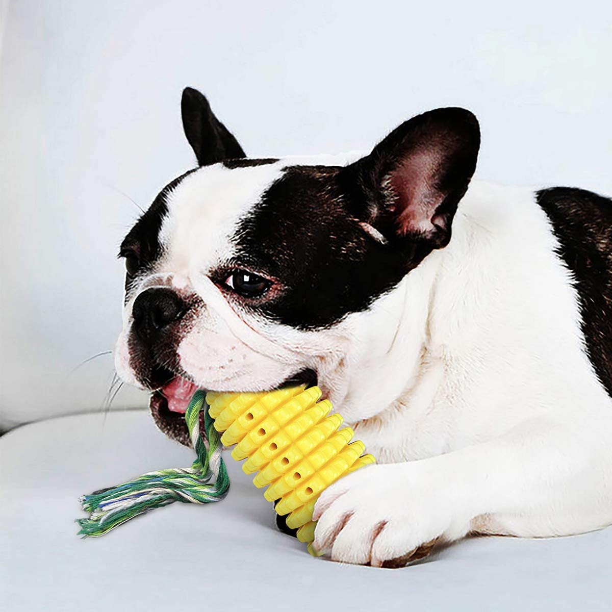 Juguetes para perro