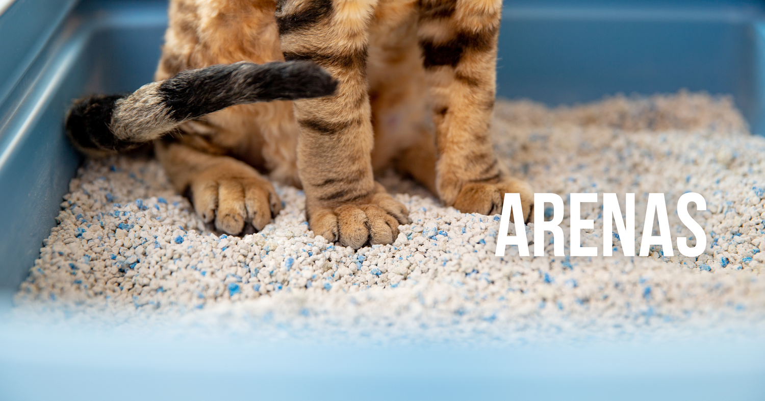 Arenas para gatos
