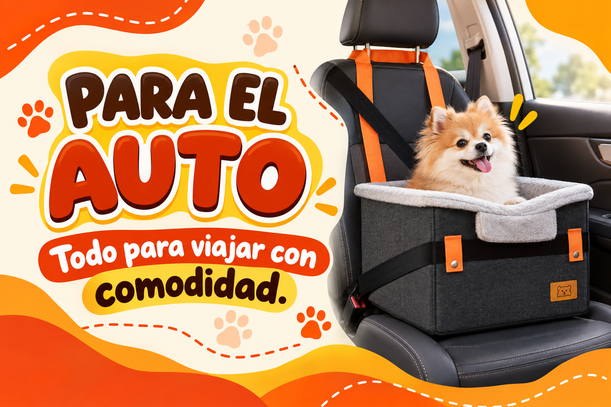 Para el auto
