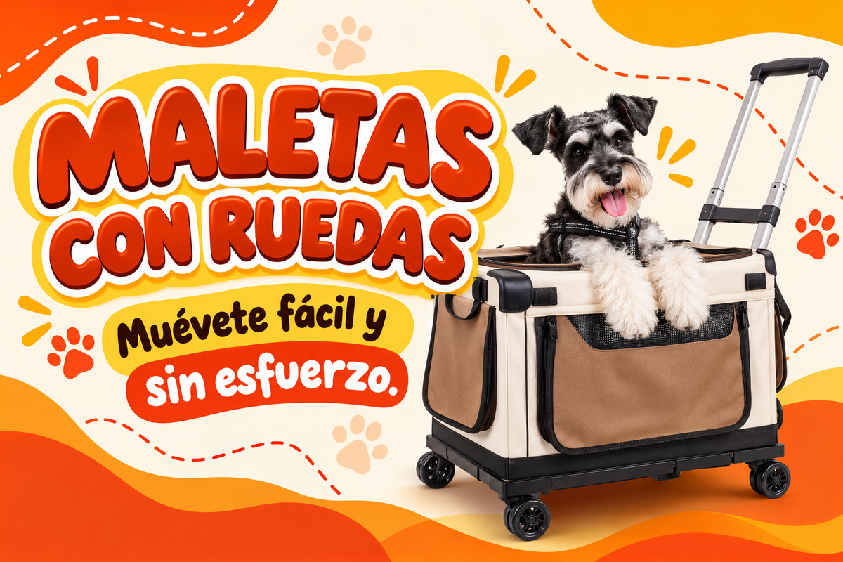 Maletas de ruedita