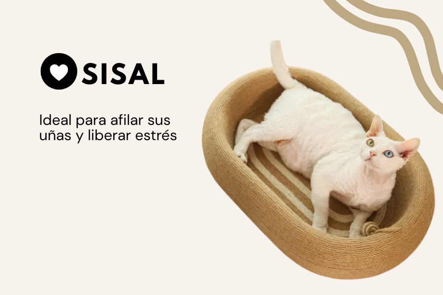 Rascadores de sisal