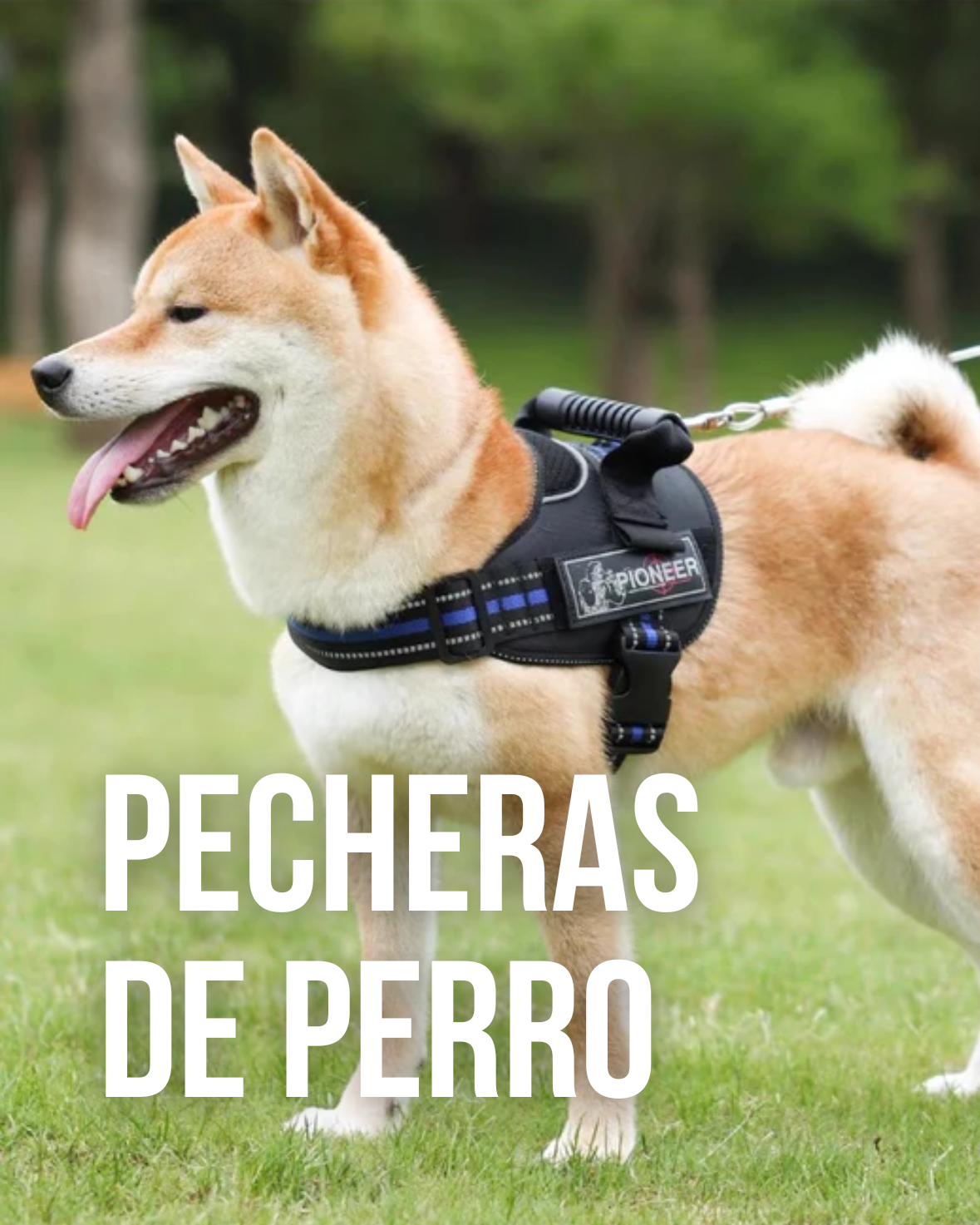 Pecheras para mascotas