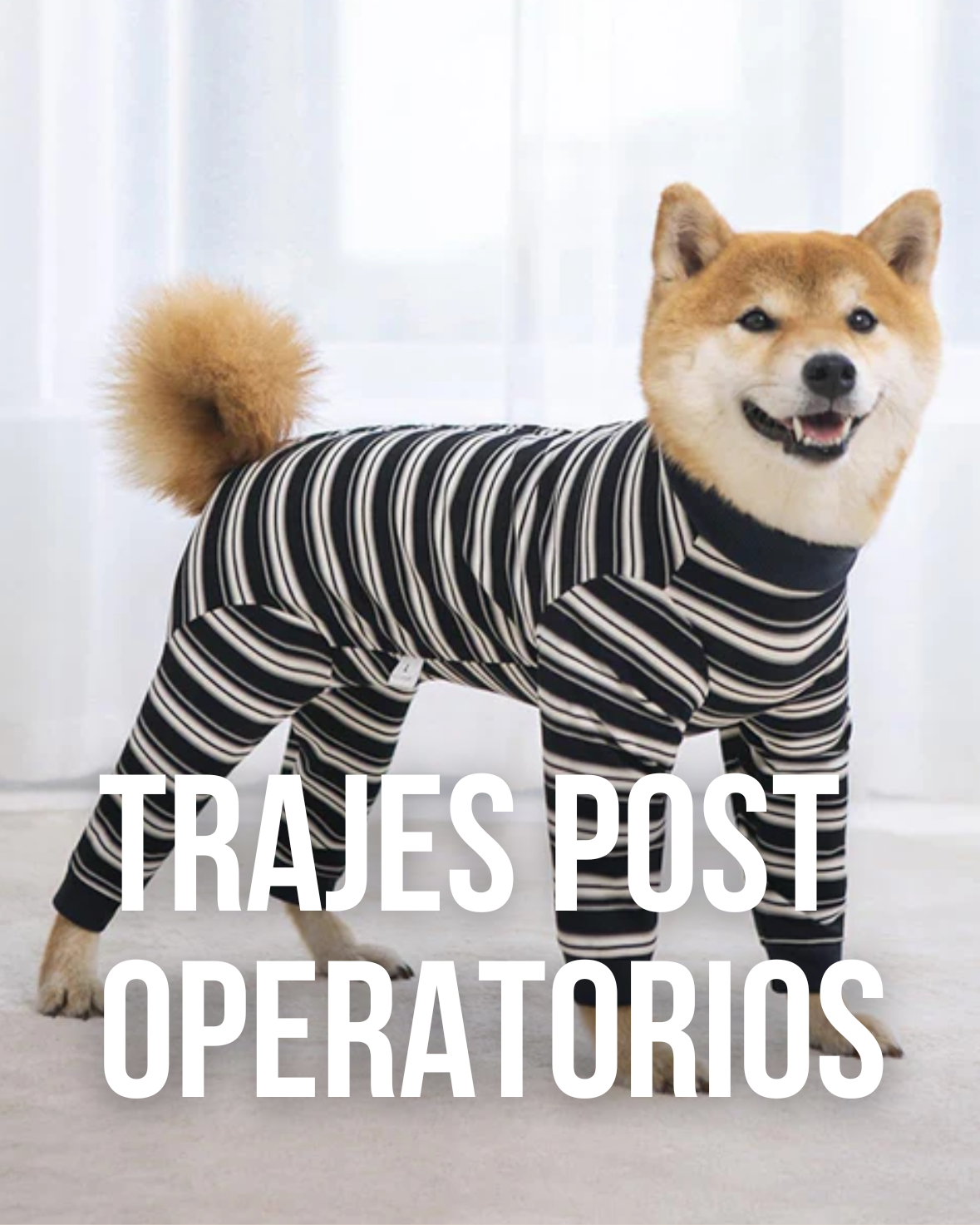 Traje post operatorios
