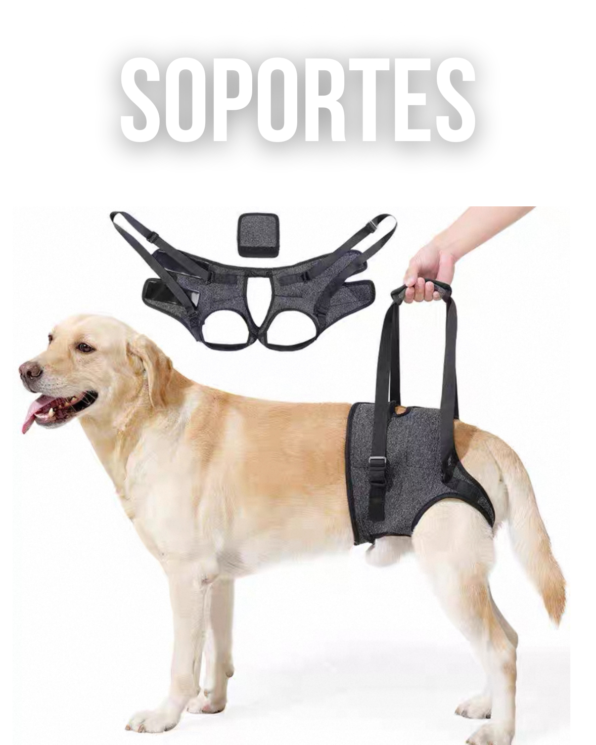 Soportes de Recuperación