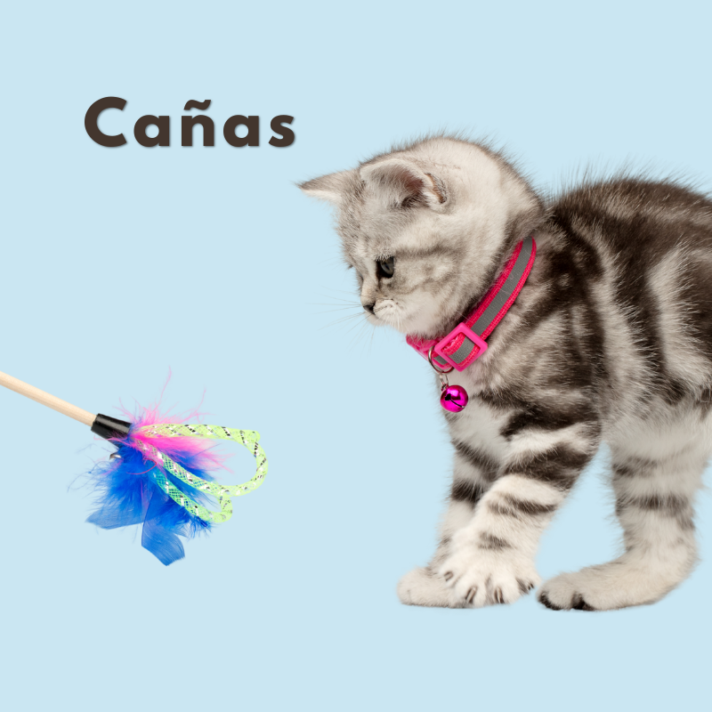 Cañas para gatos