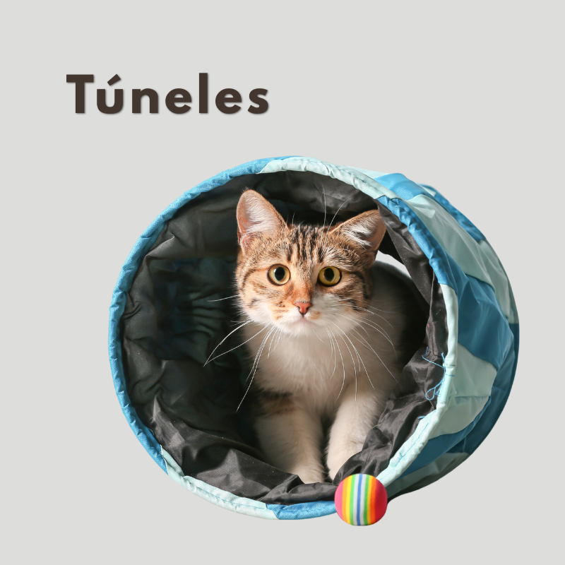 Túneles para gattos