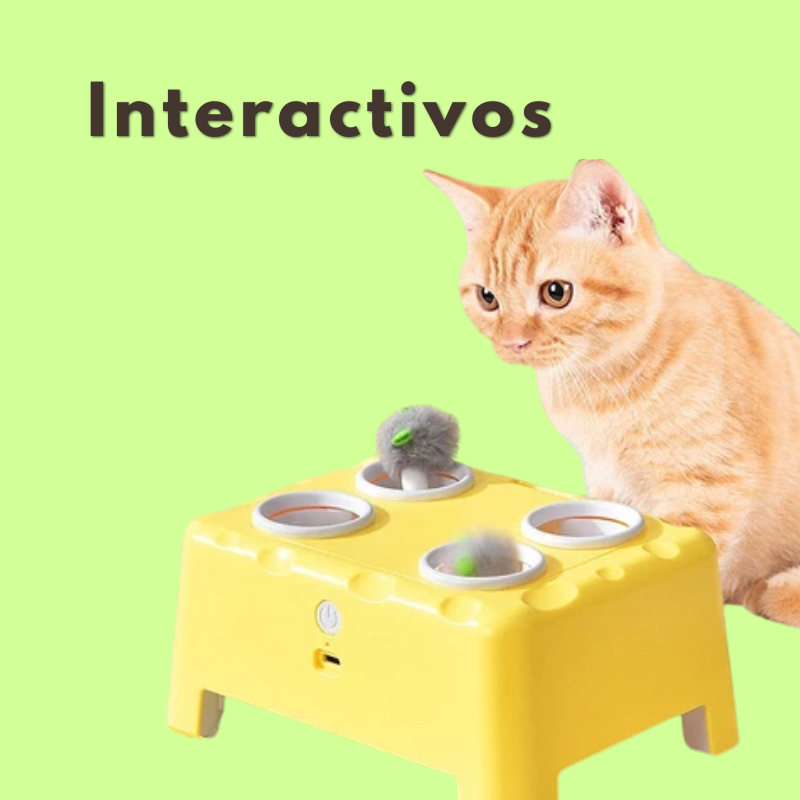 Juguetes interactivos