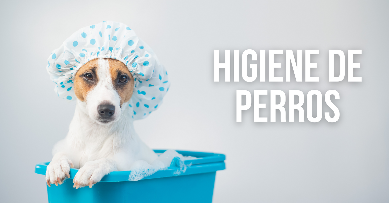 Higiene de Perro