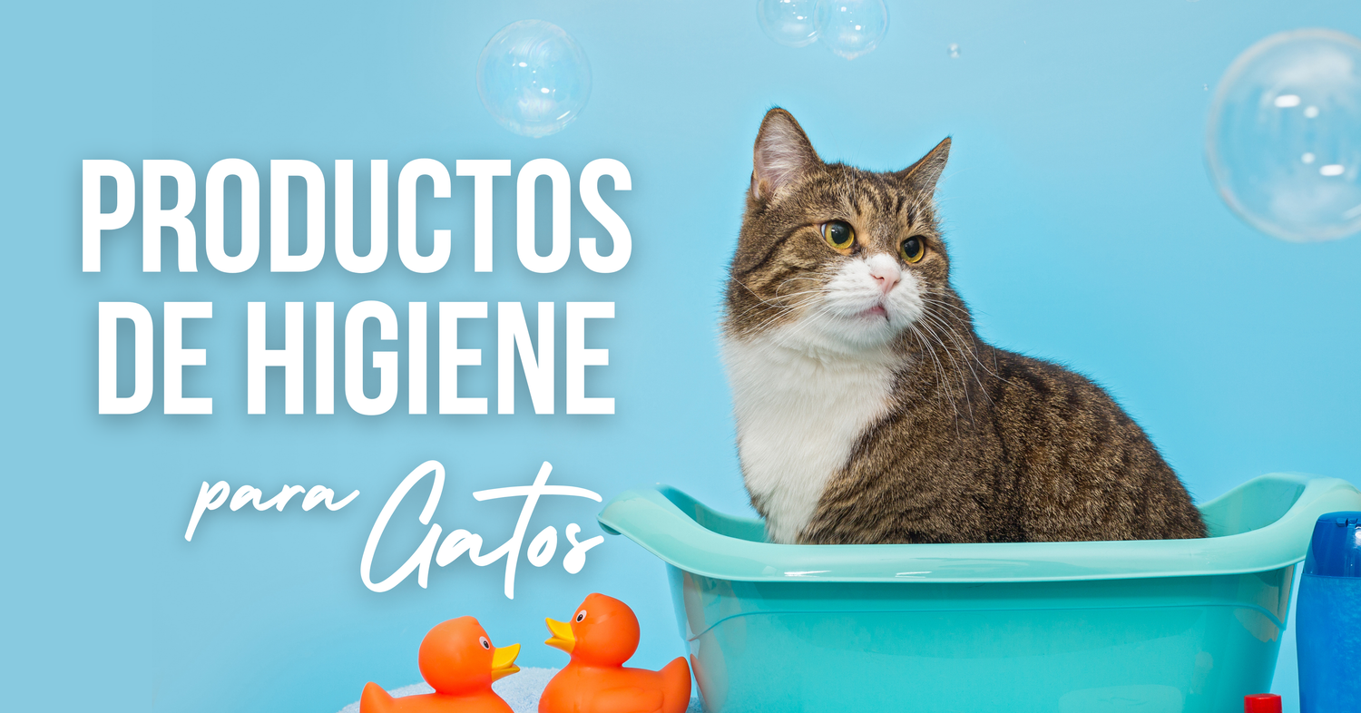 Higiene de Gatos