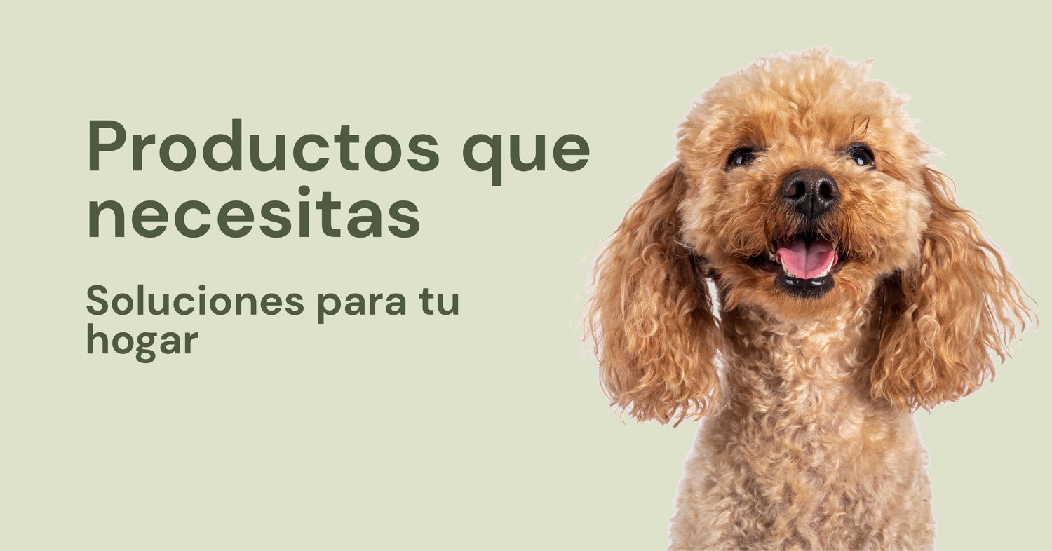 Productos que necesitas