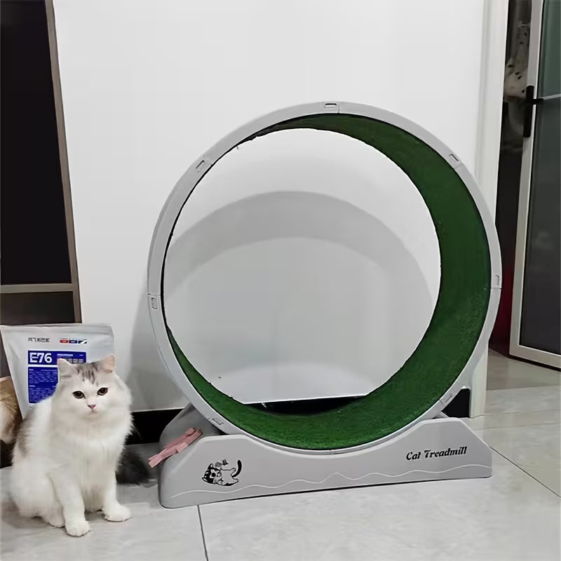 Rueda de correr para gatos 80cm