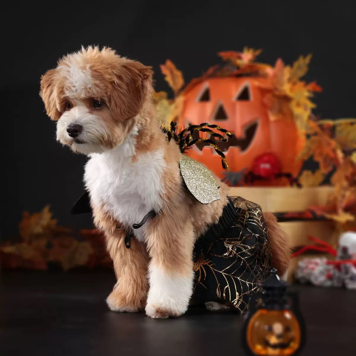 Vestido de halloween araña para mascotas