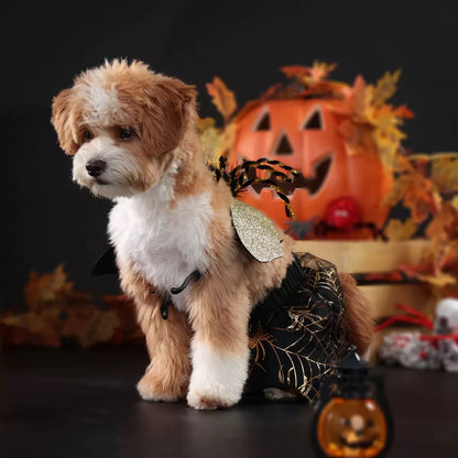 Vestido de halloween araña para mascotas