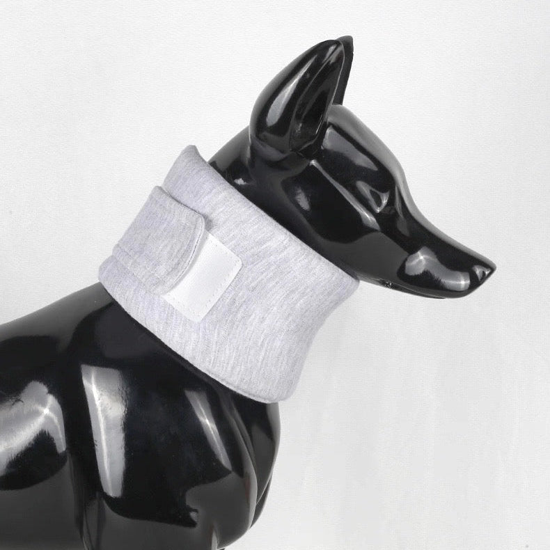 Cono inmovilizador para mascotas