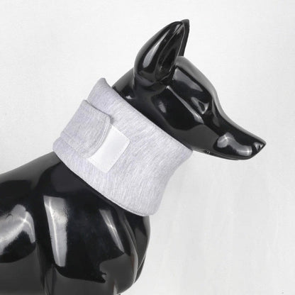 Cono inmovilizador para mascotas