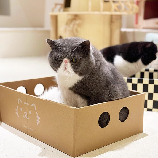 Rascador de cartón estilo cajitas para gatos 46*31*14cm