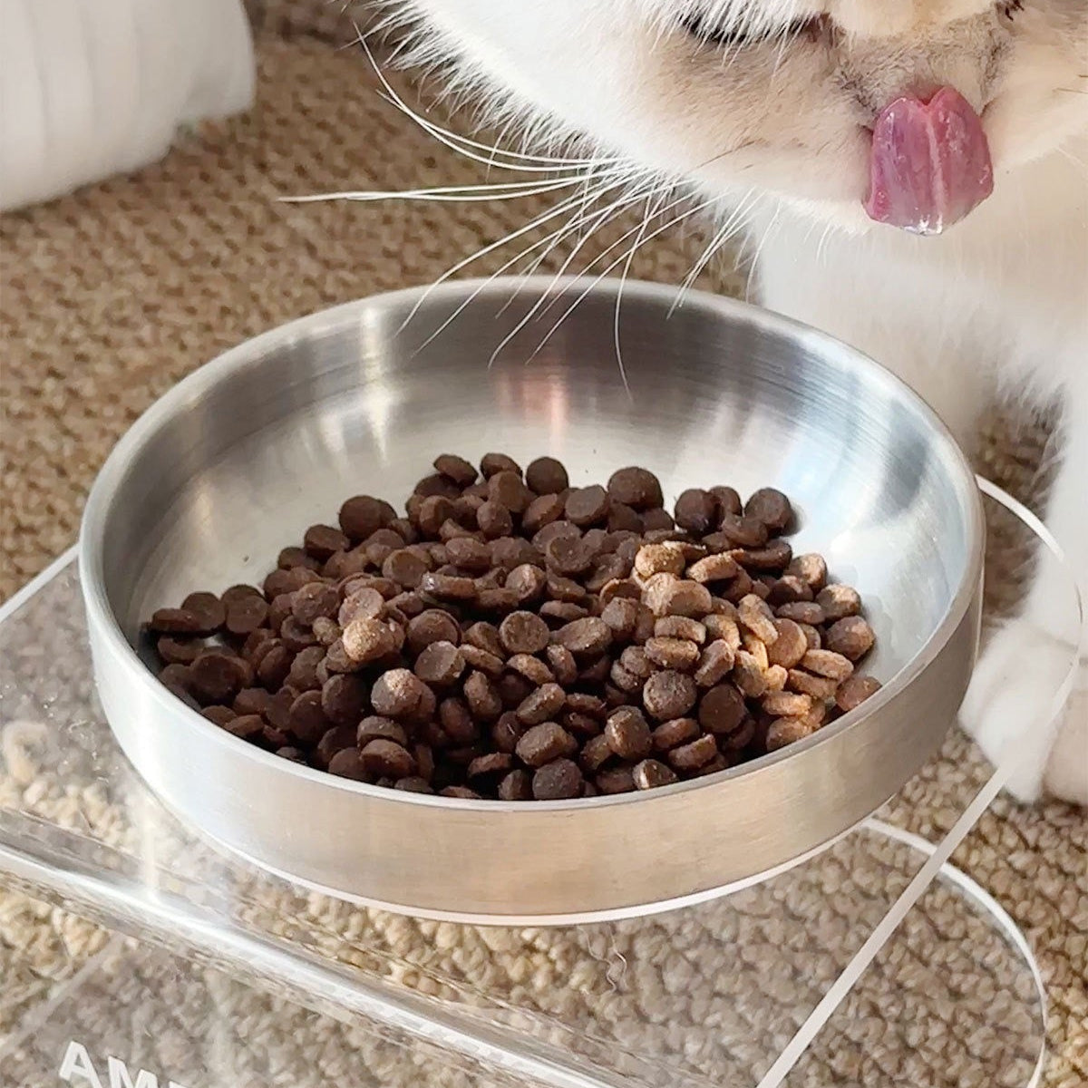 Plato elevado transparente con plato de acero inoxidable