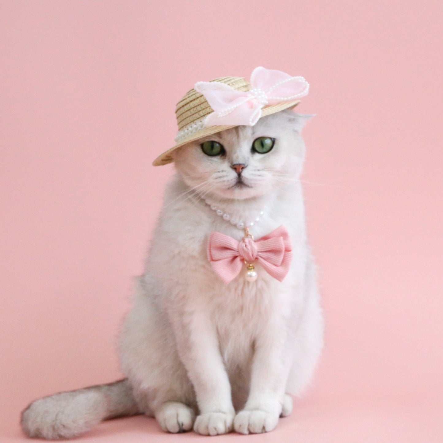 Sombrero de verano para mascotas