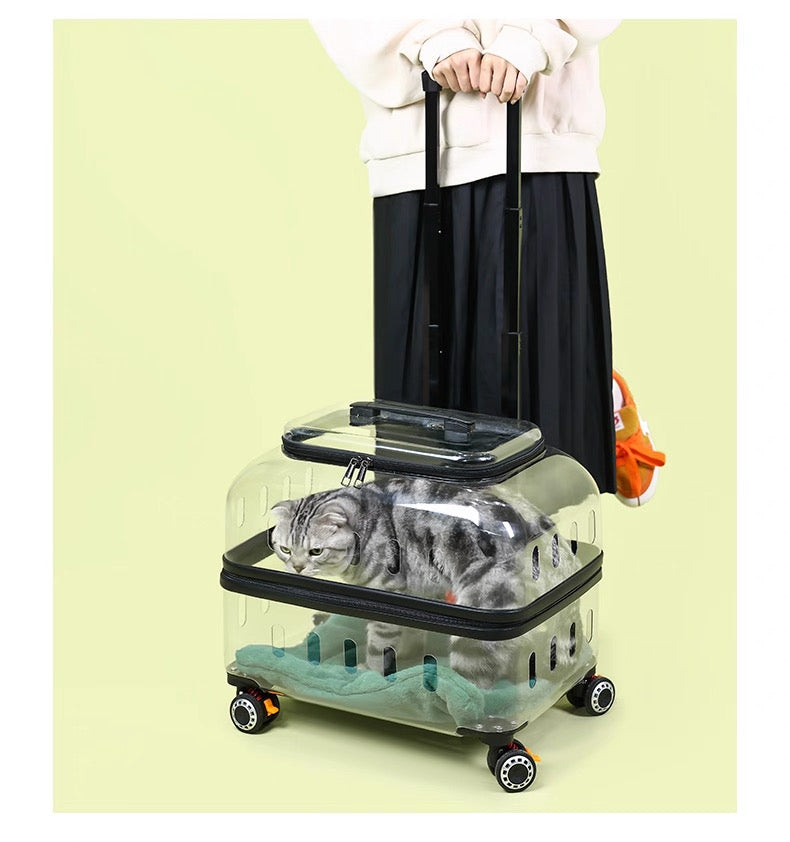 Maleta de ruedas transparente MR10