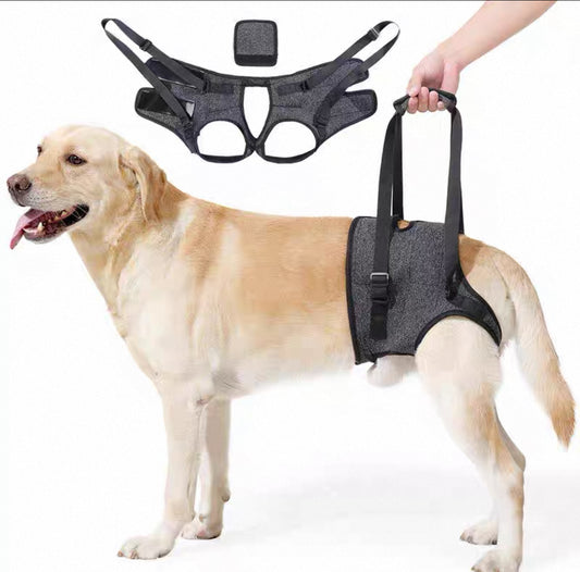 Soporte auxiliar de patas traseras para perros medianos y grandes