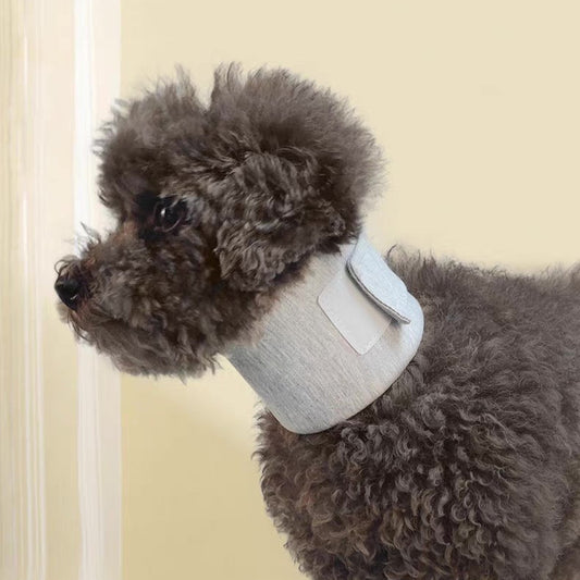 Cono inmovilizador para mascotas