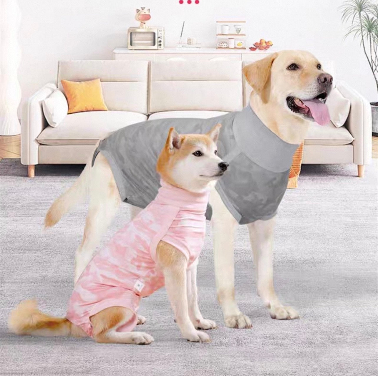 Traje postoperatorio #T20 para perros grandes