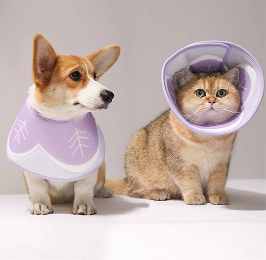 Cono isabelino suave para gatos  y perros