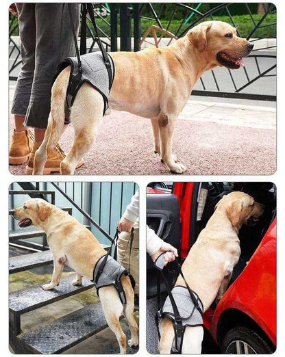 Soporte para perros ancianos o problemas de movilidad (Modelo 007)