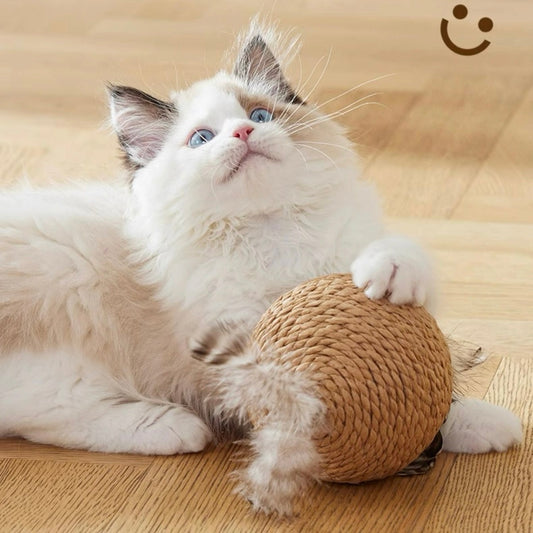 Pelota para gatos de cuerda de sisal 10cm