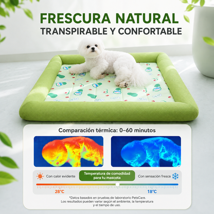 Cama impermebable para perros M10