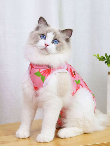 Traje de recuperación para gatos pequeños modelo #2