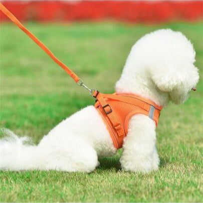 Pechera para perros reflectante con tela transpirable
