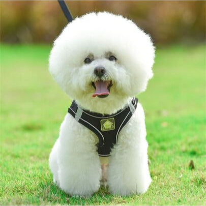 Pechera para perros reflectante con tela transpirable