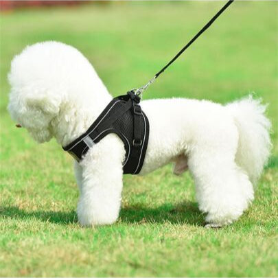 Pechera para perros reflectante con tela transpirable