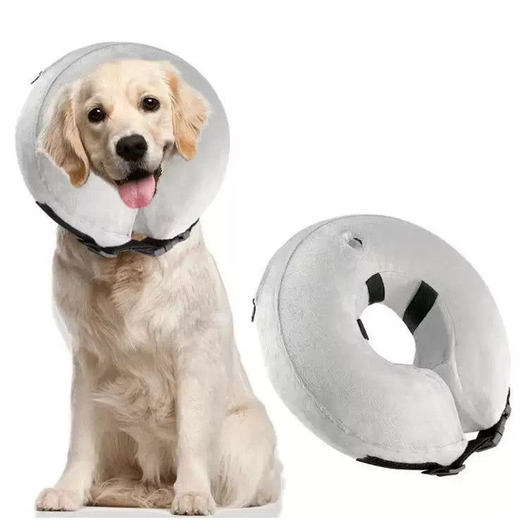 Collar inflable isabelino para mascotas grandes