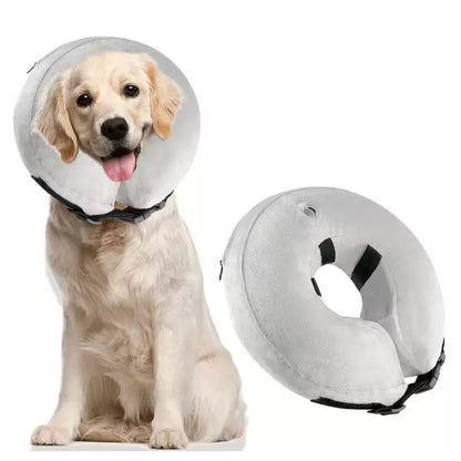 Collar inflable isabelino para mascotas grandes